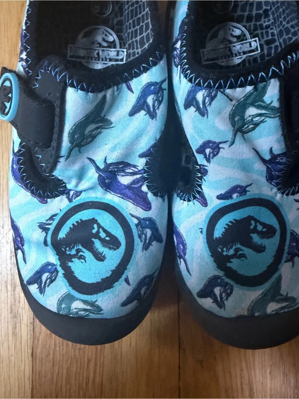 Jurassic World 9/10 Toddler Swim Shoes
